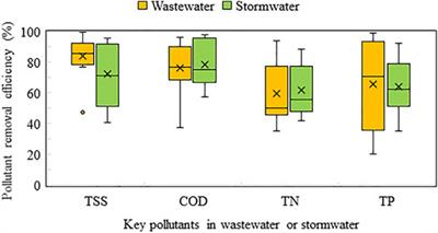 Constructed Wetlands for Reclamation and Reuse of Wastewater and Urban Stormwater: A Review